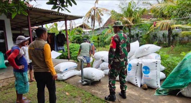 
 Meskipun Bulan Puasa, Bulog Tulungagung Tetap Gencarkan Serapan Gabah dan Jagung