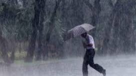 Foto Ilustrasi Google.com