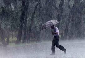 Foto Ilustrasi Google.com